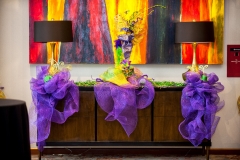 Crown Jewels Links 14th Annual Mardi Gras Fundraising Event @ The Westin 3-17-18 by Jon Strayhorn 021